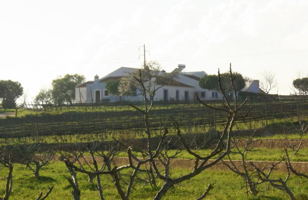 Casas Na Vinha - Monte Da Casteleja, Wine Estate - Eco Turismo Rural Lagos Exterior photo